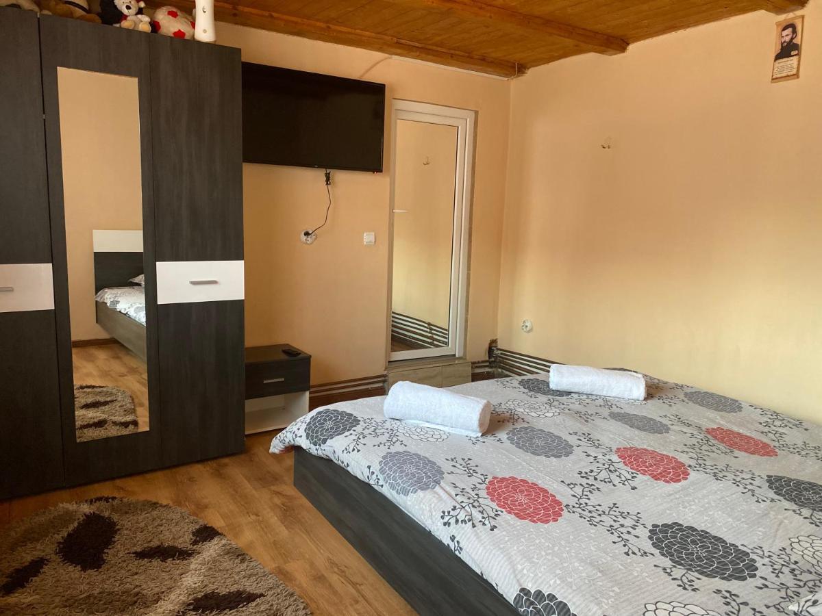 Casa Blendea Daniela Hotel Cartisoara Ngoại thất bức ảnh