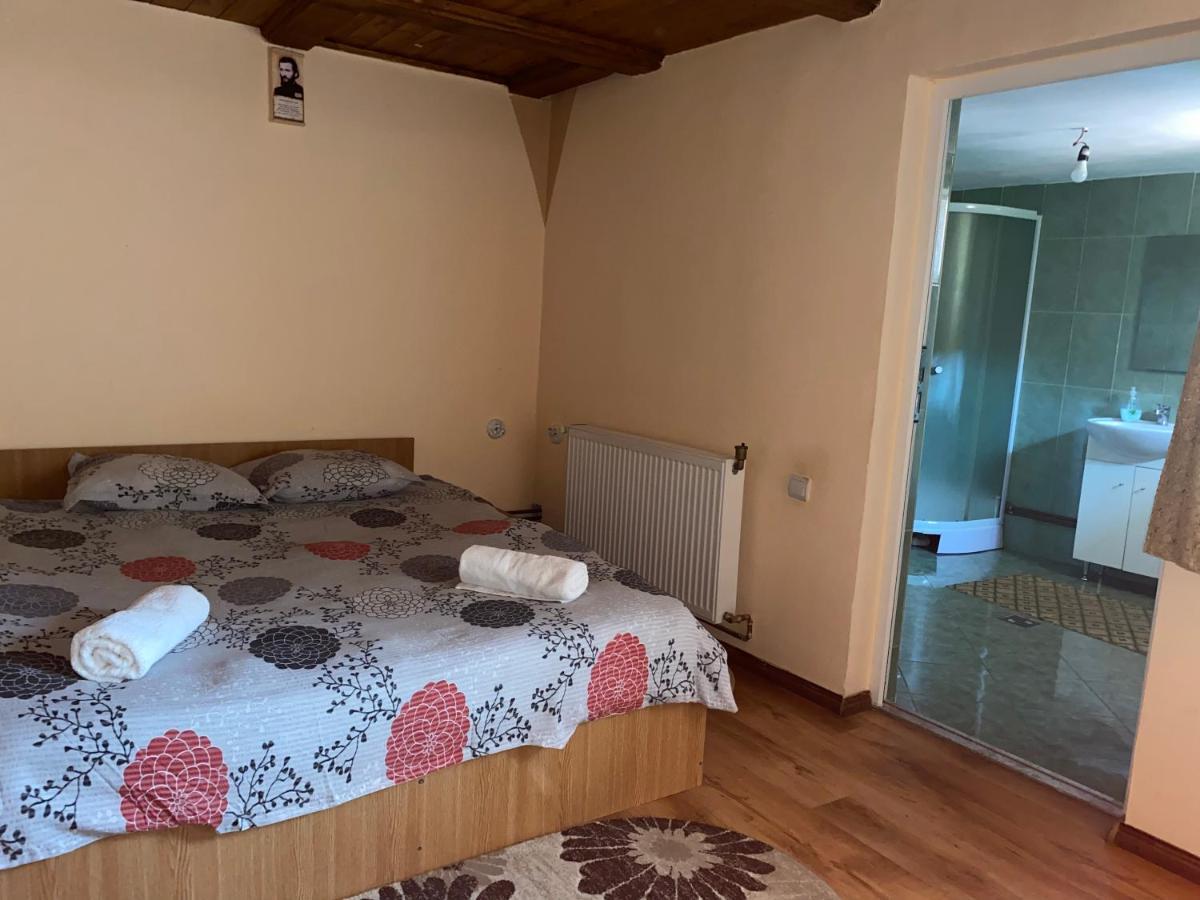 Casa Blendea Daniela Hotel Cartisoara Ngoại thất bức ảnh