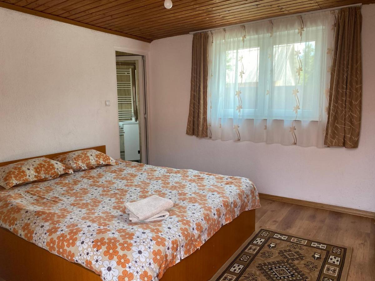 Casa Blendea Daniela Hotel Cartisoara Ngoại thất bức ảnh