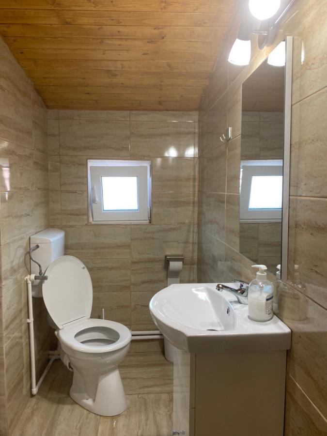 Casa Blendea Daniela Hotel Cartisoara Ngoại thất bức ảnh