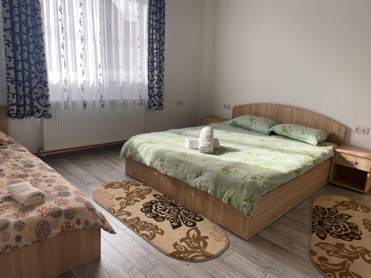 Casa Blendea Daniela Hotel Cartisoara Ngoại thất bức ảnh