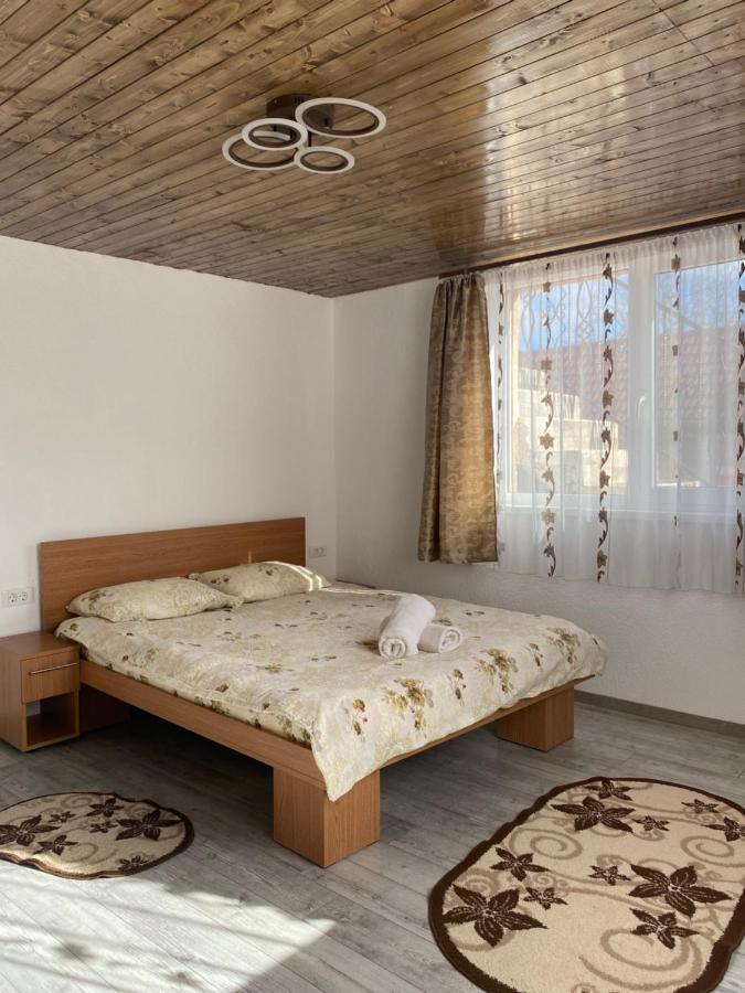 Casa Blendea Daniela Hotel Cartisoara Ngoại thất bức ảnh